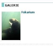 galeria zdjec fokarium